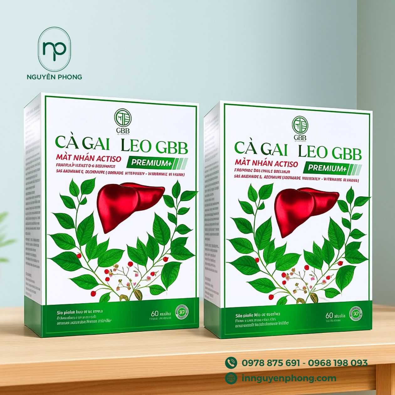 mẫu hộp đựng cà gai leo